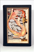 New-Mod-Med-view1[1]